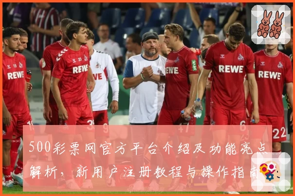 500彩票网官方平台介绍及功能亮点解析,新用户注册教程与操作指南汇总